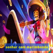 sonhar com marimbondo